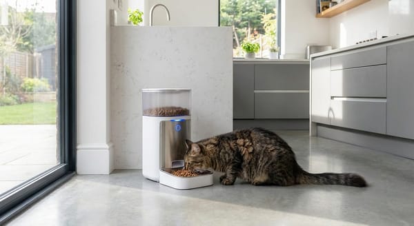 Petkit Automatic Pet Feeder Review – Smart Feeding Made Easy