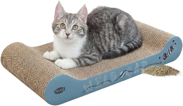 Trixie Wild Cat scratching cardboard