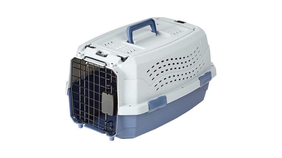 Amazon Basics two-door pet carrier