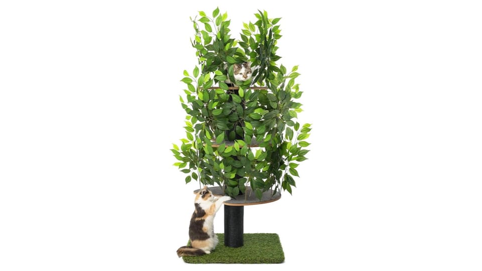 Natural wood cat tree scratching post