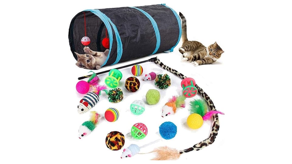Speedy Panther 21-piece cat toy set