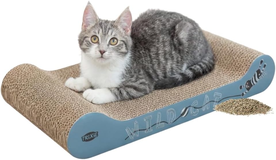 Trixie Wild Cat scratching cardboard